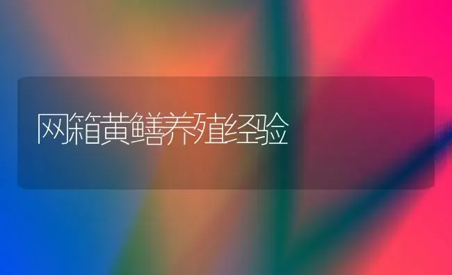 网箱黄鳝养殖经验 | 养殖知识