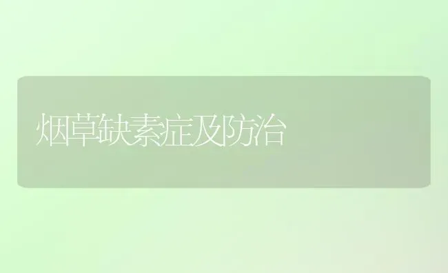 烟草缺素症及防治 | 养殖技术大全