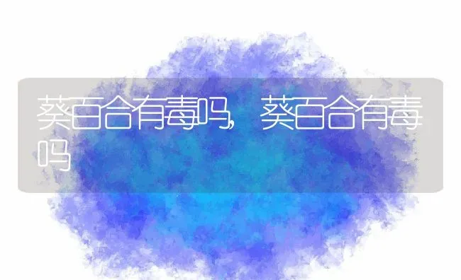葵百合有毒吗,葵百合有毒吗 | 养殖科普