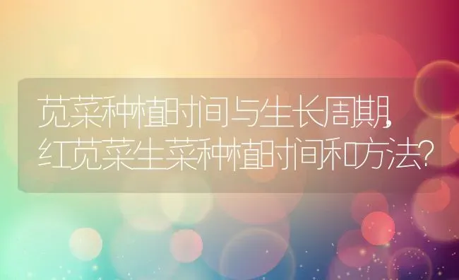 苋菜种植时间与生长周期,红苋菜生菜种植时间和方法？ | 养殖科普