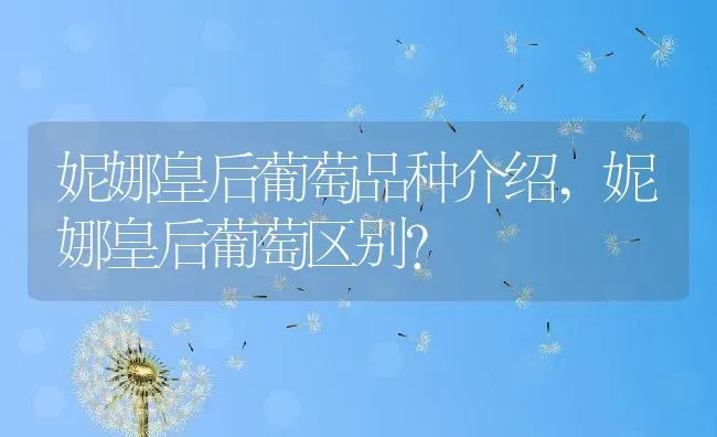 妮娜皇后葡萄品种介绍,妮娜皇后葡萄区别？ | 养殖科普