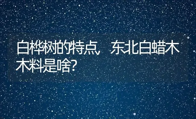 白桦树的特点,东北白蜡木木料是啥？ | 养殖科普