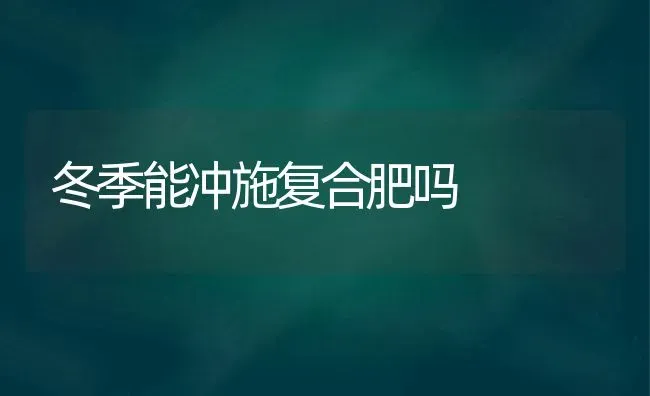 冬季能冲施复合肥吗 | 养殖技术大全