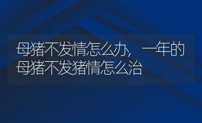 母猪不发情怎么办,一年的母猪不发猪情怎么治 | 养殖学堂