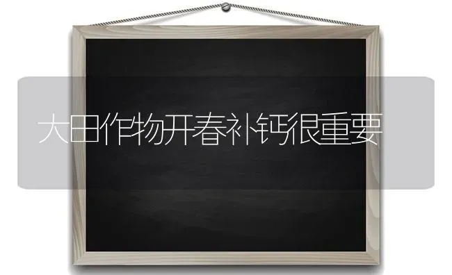 大田作物开春补钙很重要 | 养殖技术大全