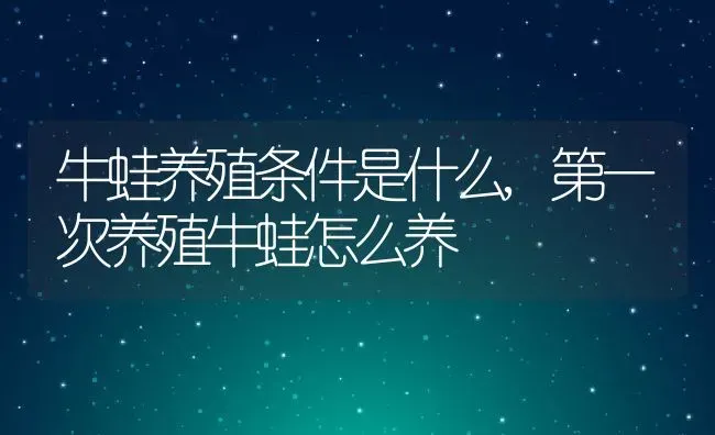 牛蛙养殖条件是什么,第一次养殖牛蛙怎么养 | 养殖学堂