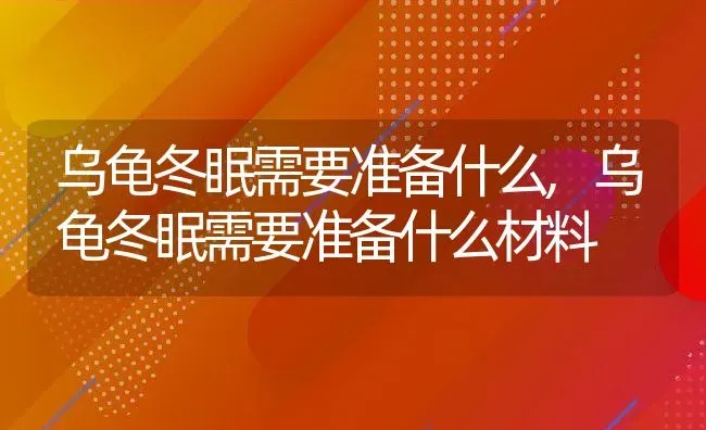 乌龟冬眠需要准备什么,乌龟冬眠需要准备什么材料 | 养殖资料