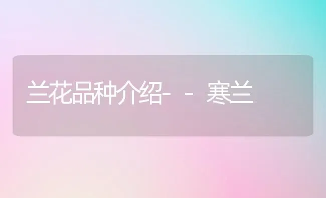 兰花品种介绍--寒兰 | 养殖技术大全