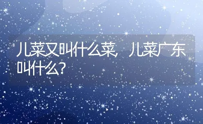 儿菜又叫什么菜,儿菜广东叫什么？ | 养殖科普