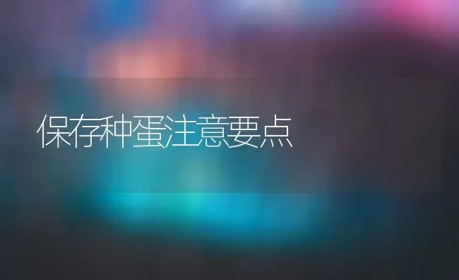 保存种蛋注意要点 | 养殖技术大全