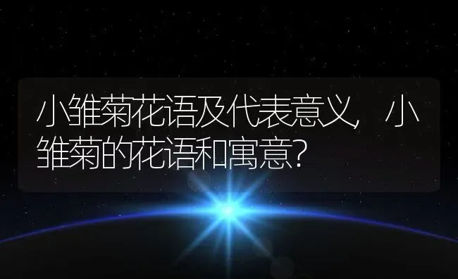 小雏菊花语及代表意义,小雏菊的花语和寓意？ | 养殖科普