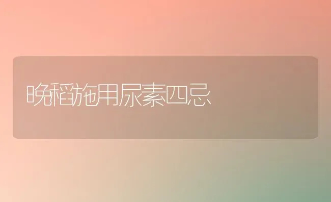 晚稻施用尿素四忌 | 养殖技术大全