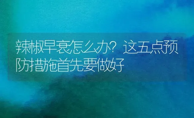 辣椒早衰怎么办?这五点预防措施首先要做好 | 养殖技术大全