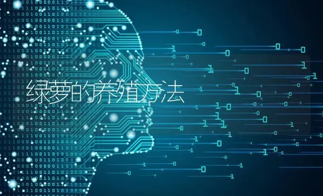 绿萝的养殖方法 | 养殖技术大全