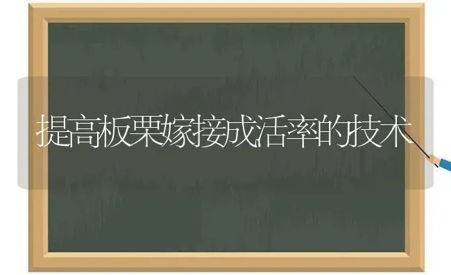 提高板栗嫁接成活率的技术 | 养殖技术大全