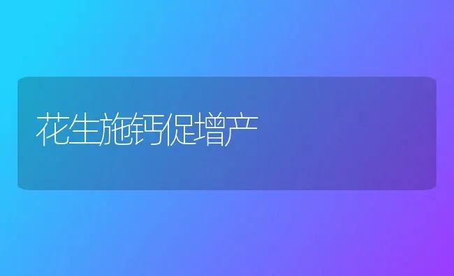 花生施钙促增产 | 养殖技术大全
