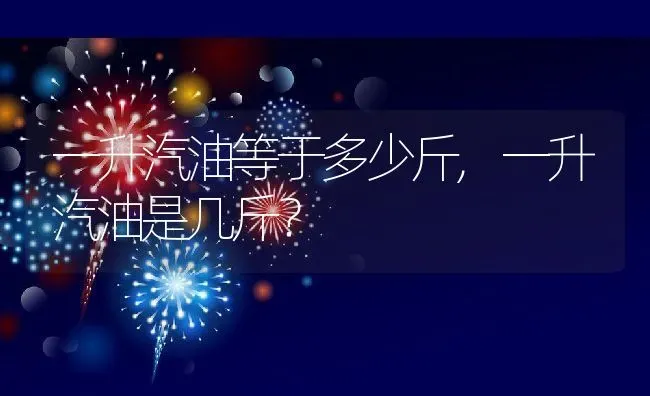 一升汽油等于多少斤,一升汽油是几斤？ | 养殖科普