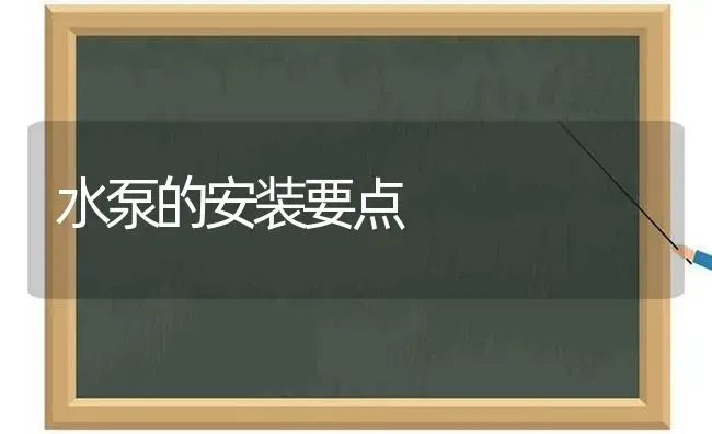 水泵的安装要点 | 养殖知识