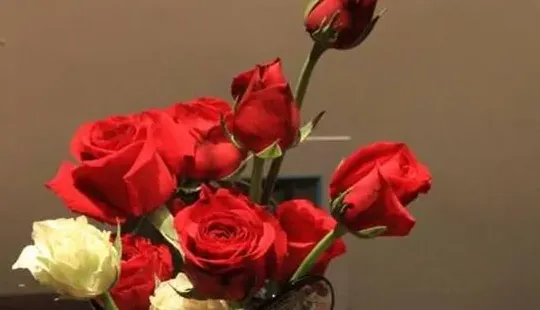 玫瑰花怎么保存,急！怎样能把大量的玫瑰花永久保存~？