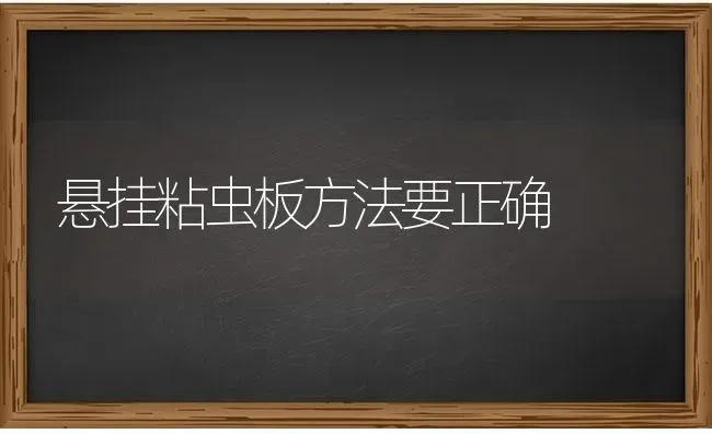 悬挂粘虫板方法要正确 | 养殖知识