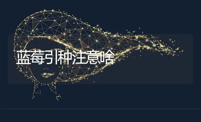 蓝莓引种注意啥 | 养殖技术大全
