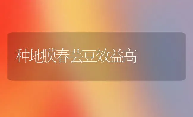 种地膜春芸豆效益高 | 养殖技术大全