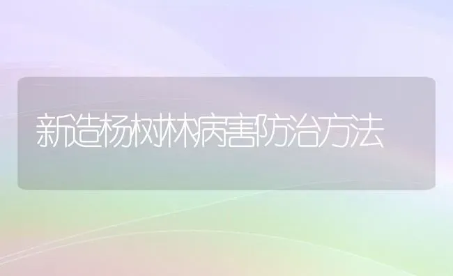 新造杨树林病害防治方法 | 养殖知识