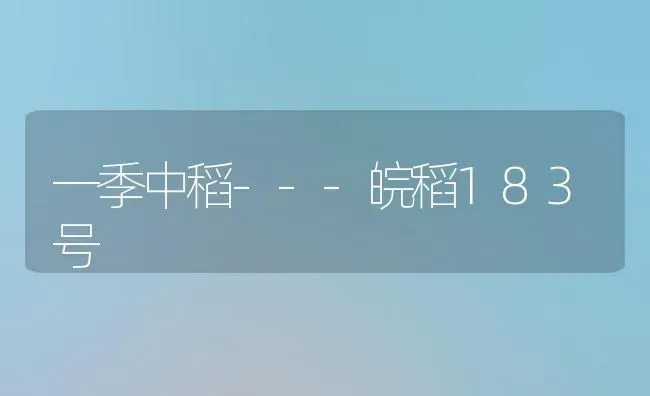 一季中稻---皖稻183号 | 养殖技术大全