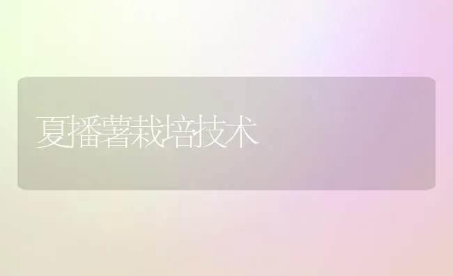 夏播薯栽培技术 | 养殖技术大全