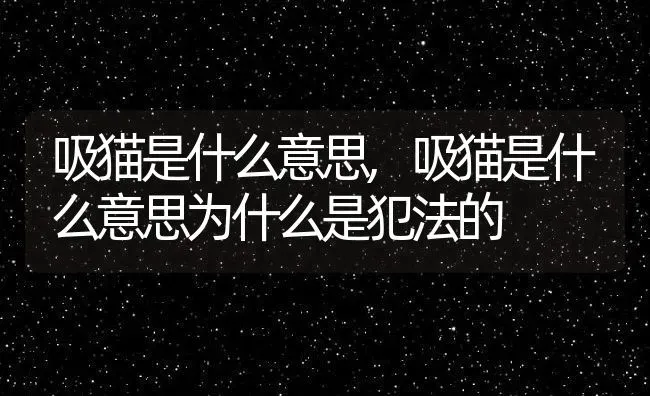 吸猫是什么意思,吸猫是什么意思为什么是犯法的 | 养殖资料