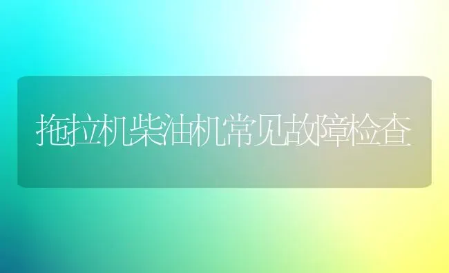 拖拉机柴油机常见故障检查 | 养殖技术大全