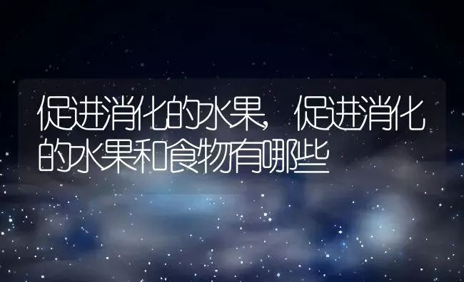 促进消化的水果,促进消化的水果和食物有哪些 | 养殖资料