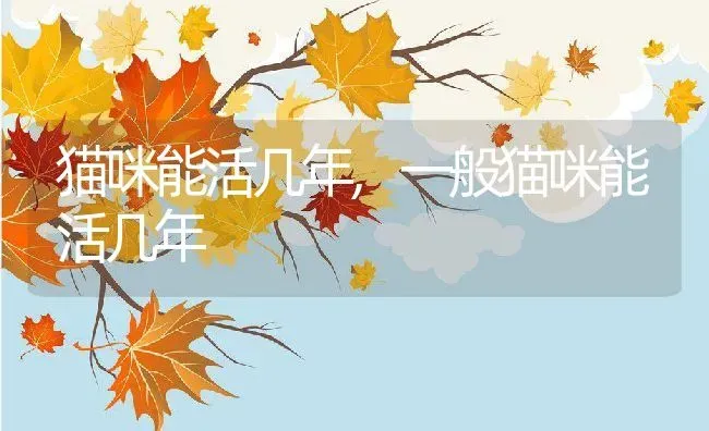 猫咪能活几年,一般猫咪能活几年 | 养殖学堂