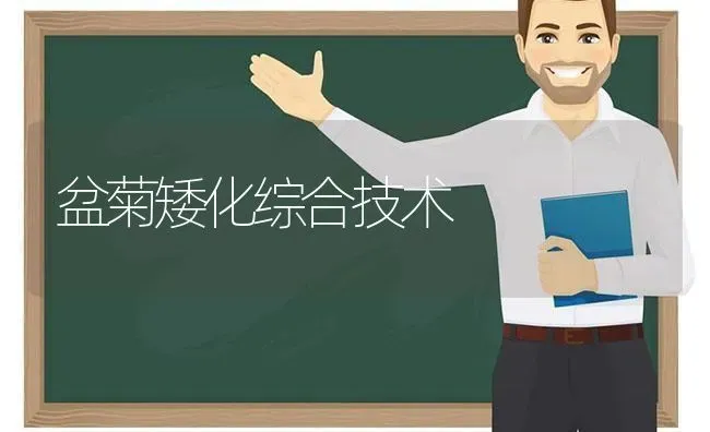 盆菊矮化综合技术 | 养殖技术大全