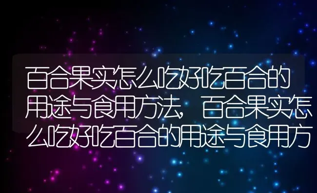 百合果实怎么吃好吃百合的用途与食用方法,百合果实怎么吃好吃百合的用途与食用方法 | 养殖科普