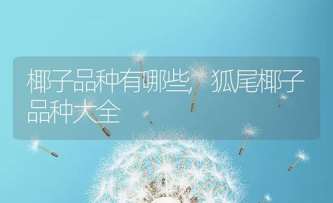 椰子品种有哪些,狐尾椰子品种大全 | 养殖学堂