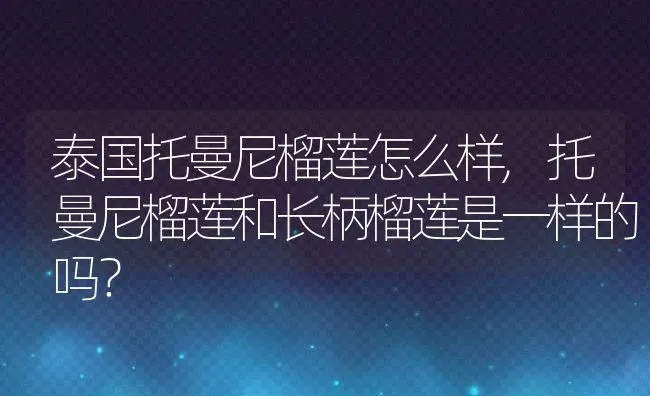 泰国托曼尼榴莲怎么样,托曼尼榴莲和长柄榴莲是一样的吗？ | 养殖科普