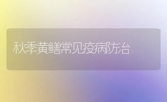秋季黄鳝常见疫病防治 | 养殖技术大全