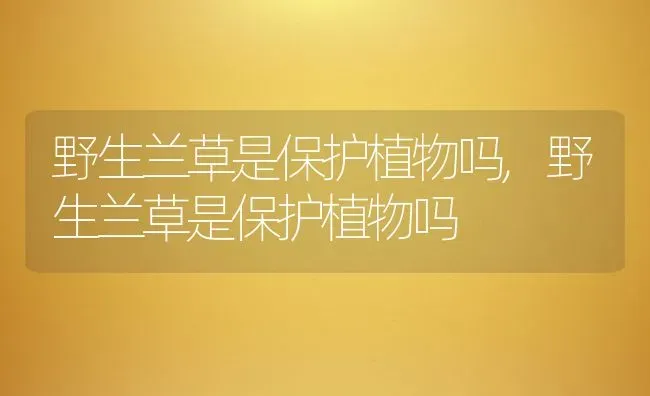 野生兰草是保护植物吗,野生兰草是保护植物吗 | 养殖科普
