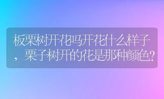板栗树开花吗开花什么样子,栗子树开的花是那种颜色？ | 养殖科普