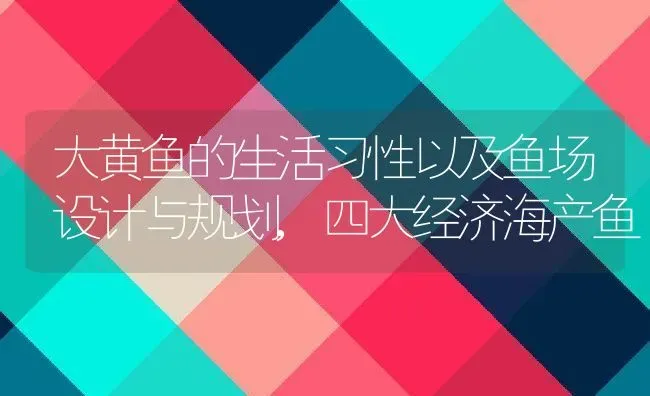 大黄鱼的生活习性以及鱼场设计与规划,四大经济海产鱼 | 养殖学堂