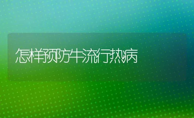 怎样预防牛流行热病 | 养殖技术大全