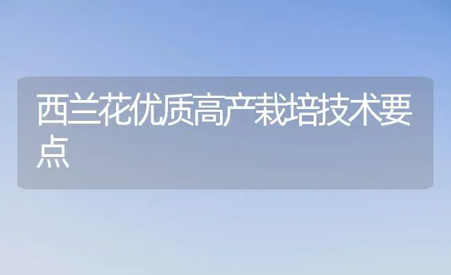 西兰花优质高产栽培技术要点 | 养殖技术大全