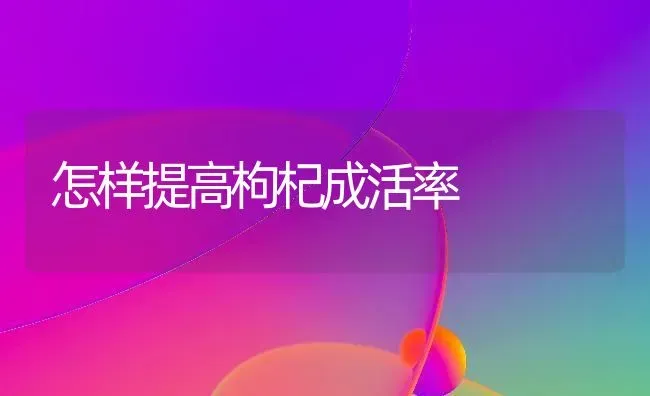 怎样提高枸杞成活率 | 养殖技术大全
