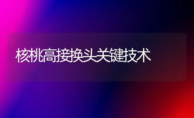 核桃高接换头关键技术 | 养殖技术大全