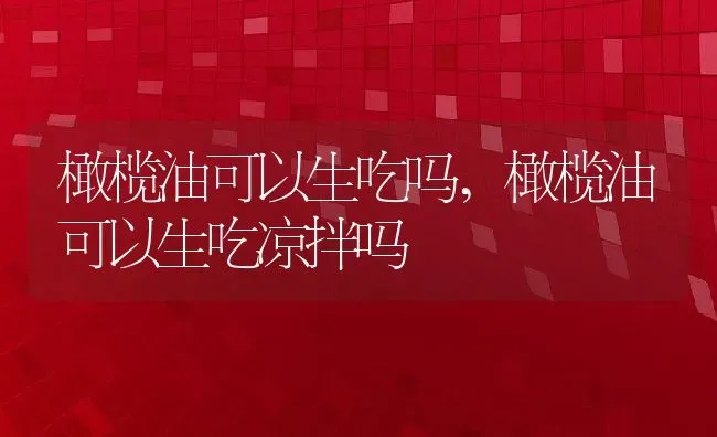 橄榄油可以生吃吗,橄榄油可以生吃凉拌吗 | 养殖资料