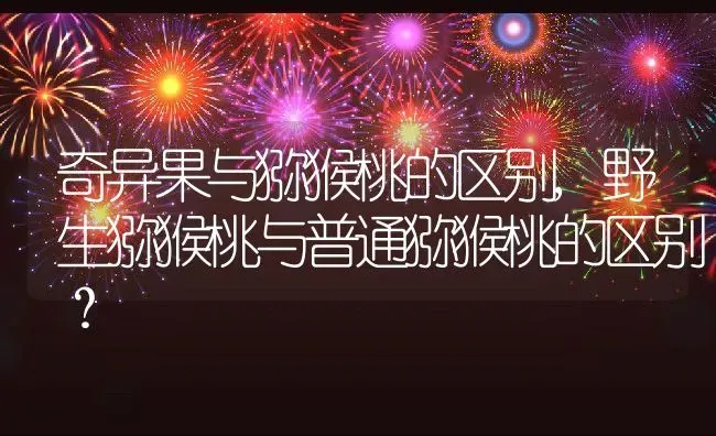 奇异果与猕猴桃的区别,野生猕猴桃与普通猕猴桃的区别？ | 养殖科普