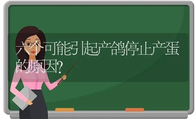 六个可能引起产鸽停止产蛋的原因? | 养殖知识