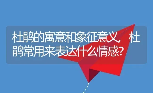 杜鹃的寓意和象征意义,杜鹃常用来表达什么情感？ | 养殖科普