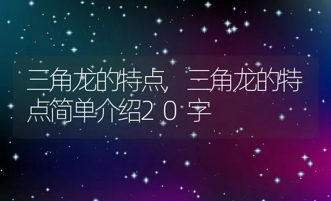 三角龙的特点,三角龙的特点简单介绍20字 | 养殖资料